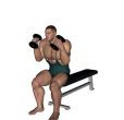 Shoulder Press - Seated Inwards Dumbbell
